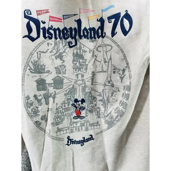 Disneyland 70th Anniversary Celebration Tan Map Pull Over Hoodie Small 2025 New